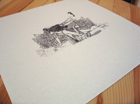 vinyl_11